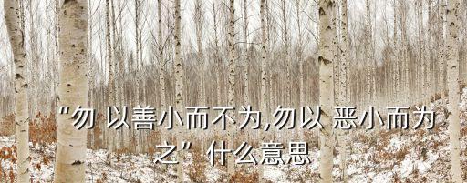 “勿 以善小而不為,勿以 惡小而為之”什么意思