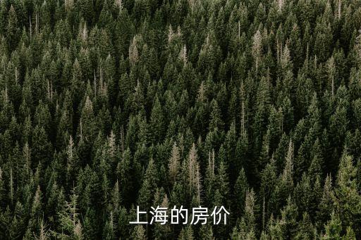 上海的房價