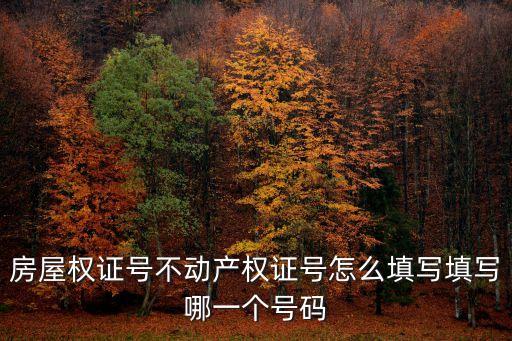 房屋權(quán)證號不動產(chǎn)權(quán)證號怎么填寫填寫哪一個號碼