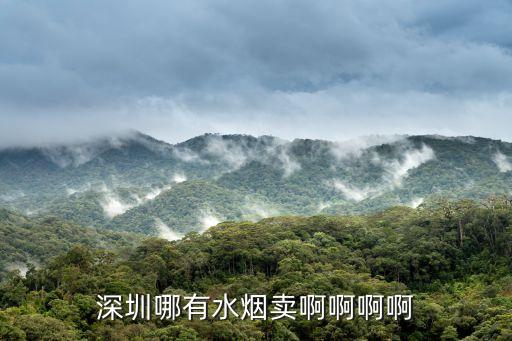 深圳哪e水煙，深圳哪有水煙賣啊啊啊啊