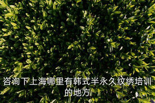 咨詢下上海哪里有韓式半永久紋繡培訓(xùn)的地方