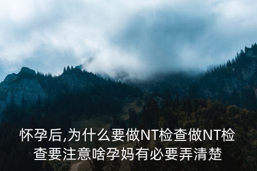 懷孕后,為什么要做NT檢查做NT檢查要注意啥孕媽有必要弄清楚