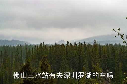 佛山三水站有去深圳羅湖的車嗎