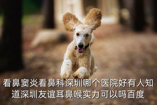 深圳治療鼻竇炎溫馨友誼，看鼻竇炎看鼻科深圳哪個醫院好有人知道深圳友誼耳鼻喉實力可以嗎百度