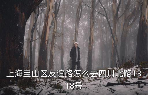 上海寶山區(qū)友誼路怎么去四川北路1318號