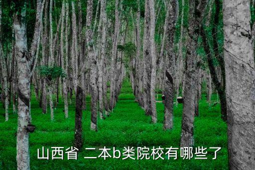 山西二本大學,山西最有潛力的二本大學是哪所?
