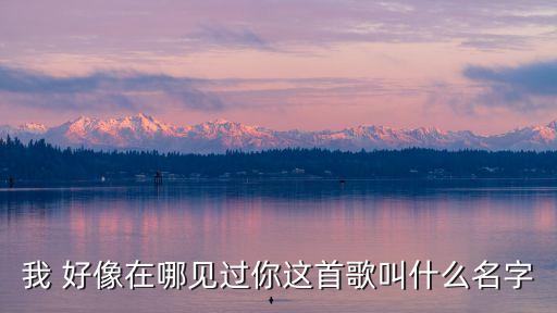 我好像在哪里見過你,鈴芽之旅我好像在哪里見過你