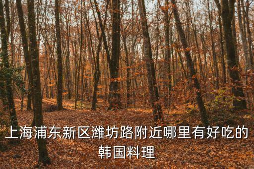 上海浦東新區濰坊路附近哪里有好吃的韓國料理