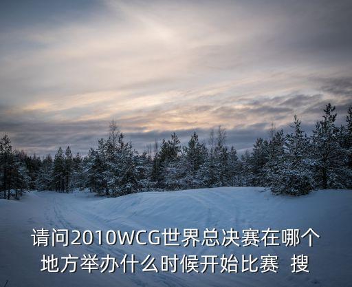 請問2010WCG世界總決賽在哪個地方舉辦什么時候開始比賽  搜