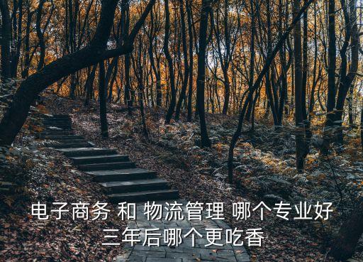 電子商務(wù) 和 物流管理 哪個(gè)專業(yè)好 三年后哪個(gè)更吃香