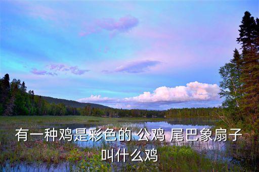 公雞的尾巴像什么,這些動(dòng)物的尾巴像什么?
