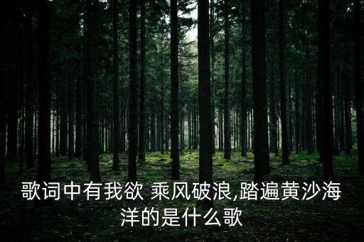 歌詞中有我欲 乘風破浪,踏遍黃沙海洋的是什么歌