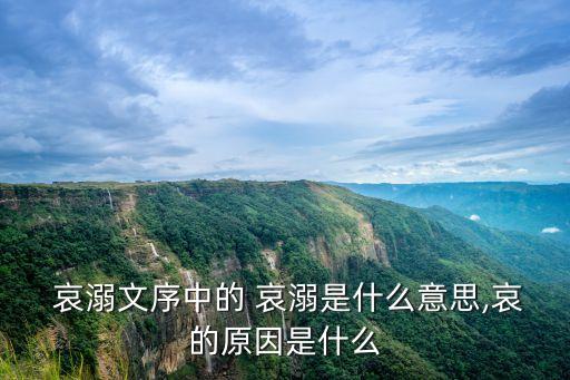  哀溺文序中的 哀溺是什么意思,哀的原因是什么