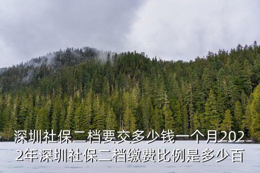 深圳社保二檔要交多少錢一個月2022年深圳社保二檔繳費比例是多少百