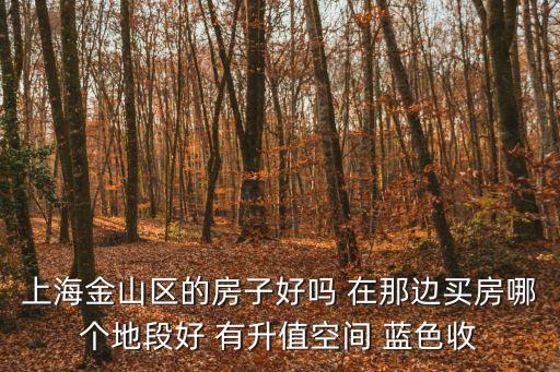上海金山區的房子好嗎 在那邊買房哪個地段好 有升值空間 藍色收