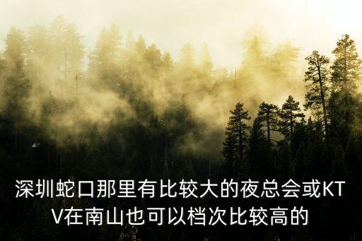 深圳新麗晶夜總會照片，深圳蛇口那里有比較大的夜總會或KTV在南山也可以檔次比較高的