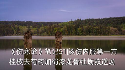 《傷寒論》筆記51|燙傷內服第一方桂枝去芍藥加蜀漆龍骨牡蠣救逆湯