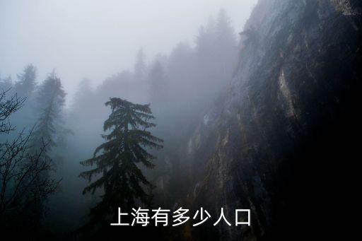 上海有多少人口