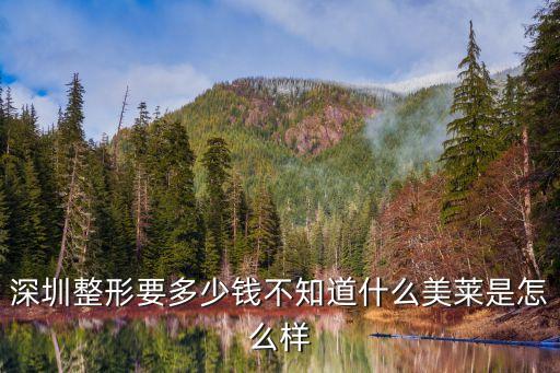 深圳美萊美瞳線一萬多，深圳整形要多少錢不知道什么美萊是怎么樣