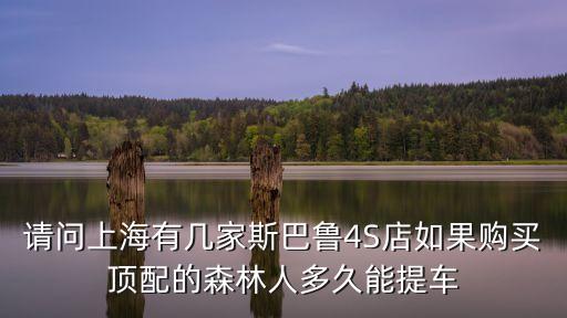 森林人2019款上海市店S，斯巴魯森林人  準備十一訂車拉力藍