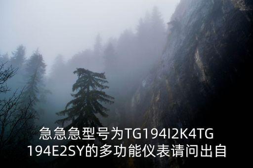 深圳拓安信儀表產品，急急急型號為TG194I2K4TG194E2SY的多功能儀表請問出自
