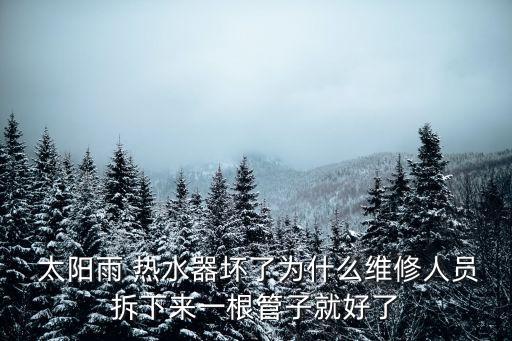  太陽雨 熱水器壞了為什么維修人員拆下來一根管子就好了