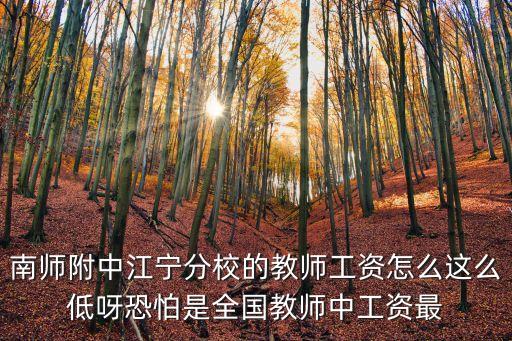 上海市江寧學校教師，南師附中江寧分校的教師工資怎么這么低呀恐怕是全國教師中工資最