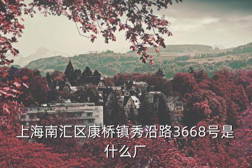 上海南匯區(qū)康橋鎮(zhèn)秀沿路3668號(hào)是什么廠