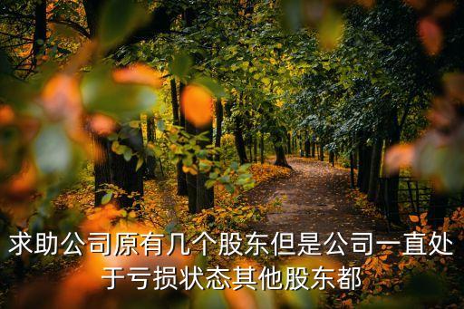 華澤鈷鎳 深圳 虧損，所謂的資金鏈斷裂其實是公司有了一個巨大的虧損黑洞真是好公