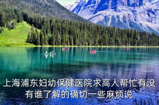 上海市浦東新區婦幼保健所 評論，懷孕3個多月在上海浦東新區那家醫院做引產手術比較好