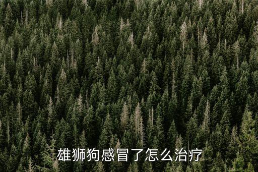 雄獅狗,狗狗感冒了怎么辦?別急著急!