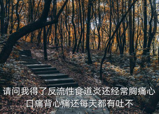 上海市各界人士春節(jié)團拜會王凱，從安微合肥送快遞到廣東茂名要幾天求大神幫助
