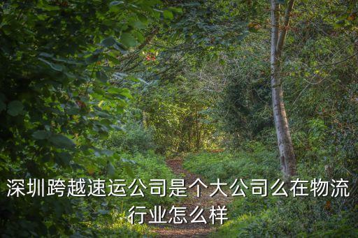 深圳跨越速運公司是個大公司么在物流行業怎么樣