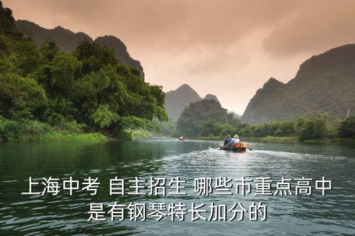 上海中考 自主招生 哪些市重點高中是有鋼琴特長加分的