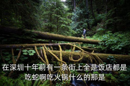 在深圳十年前有一條街上全是飯店都是吃蛇啊吃火鍋什么的那是