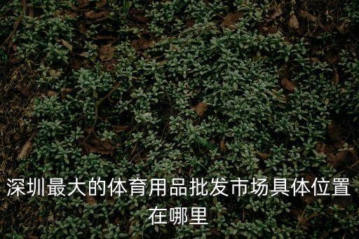 深圳羽毛球批發(fā)市場(chǎng)，深圳哪里可以買到勝利的羽毛球