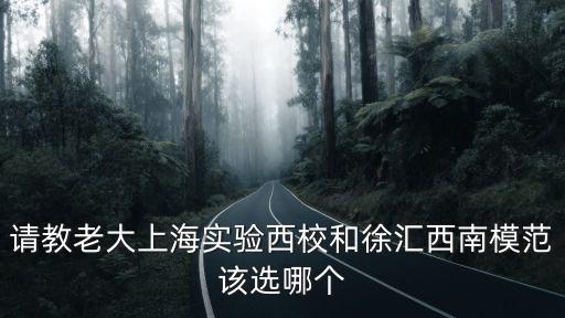 上海市實驗西校 實驗班，上海實驗學校西校開始報名的了嗎學校收簡歷了嗎