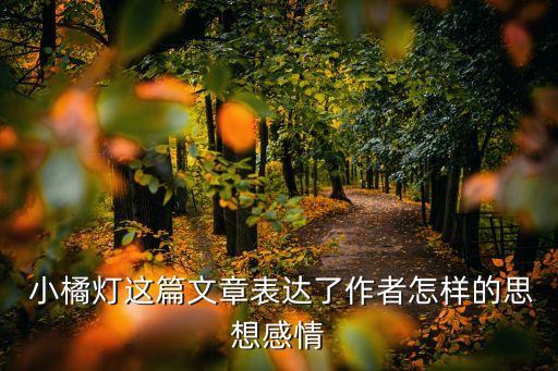 小橘燈