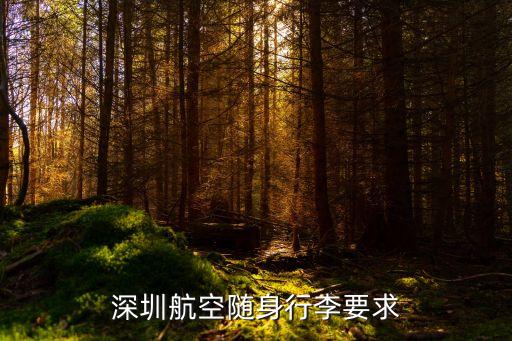 深圳航空隨身行李要求