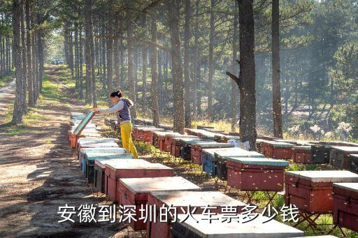 安徽到深圳的火車票多少錢