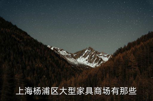 上海市有幾個大型家居門店，上海楊浦區(qū)大型家具商場有那些