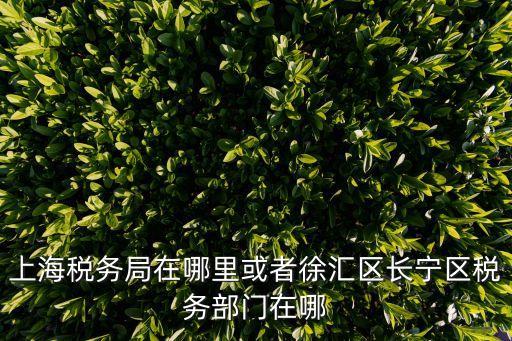 上海稅務(wù)局在哪里或者徐匯區(qū)長(zhǎng)寧區(qū)稅務(wù)部門(mén)在哪