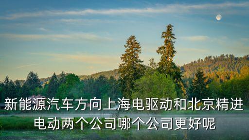 新能源汽車方向上海電驅(qū)動(dòng)和北京精進(jìn)電動(dòng)兩個(gè)公司哪個(gè)公司更好呢