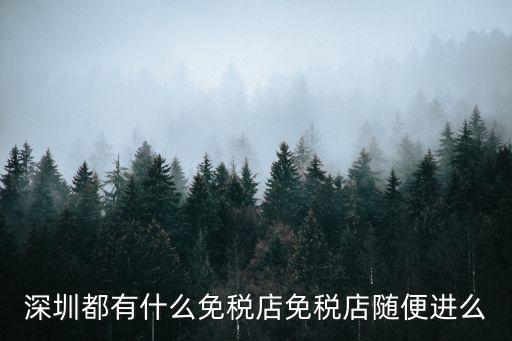 深圳哪個口岸免稅店可以買東西，2022年福田口岸有免稅店嗎