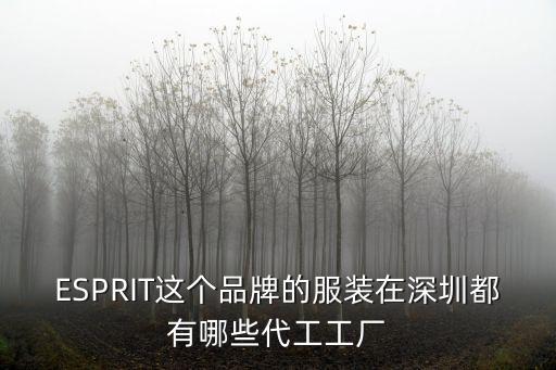 ESPRIT這個品牌的服裝在深圳都有哪些代工工廠