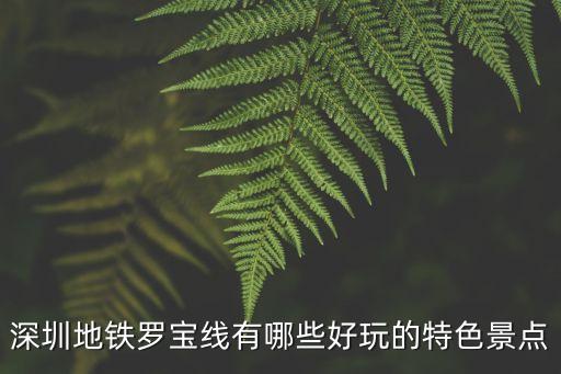 深圳地鐵羅寶線有哪些好玩的特色景點