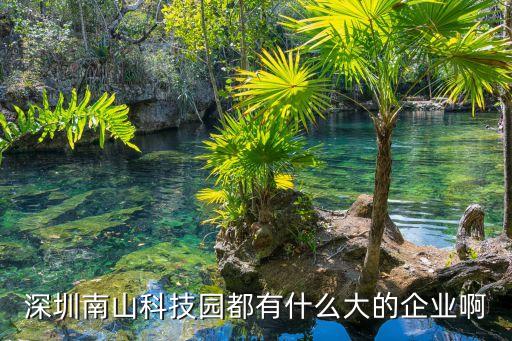 深圳南山科技園都有什么大的企業(yè)啊