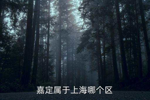嘉定屬于上海哪個區