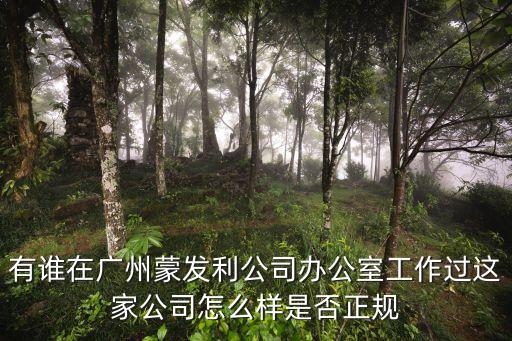 有誰在廣州蒙發(fā)利公司辦公室工作過這家公司怎么樣是否正規(guī)