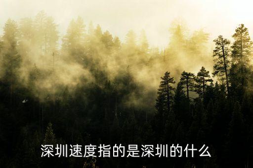 一流速度數(shù)深圳，什么是深圳speed